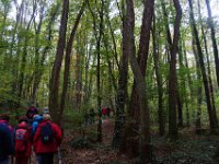 2016-10-21 Les coteaux de Lardy 0015